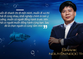 Shark Thủy