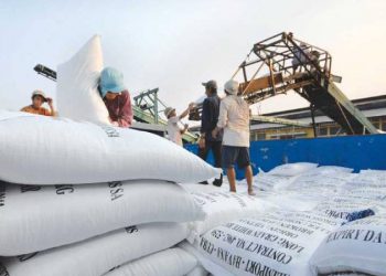 Tình hình xuất khẩu gạo của Việt Nam