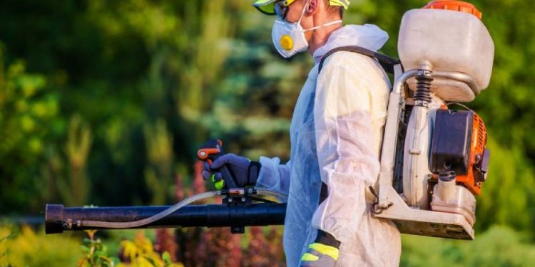 Dịch vụ phun thuốc khử trùng