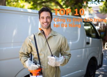 Công ty diệt côn trùng tại Đà Nẵng